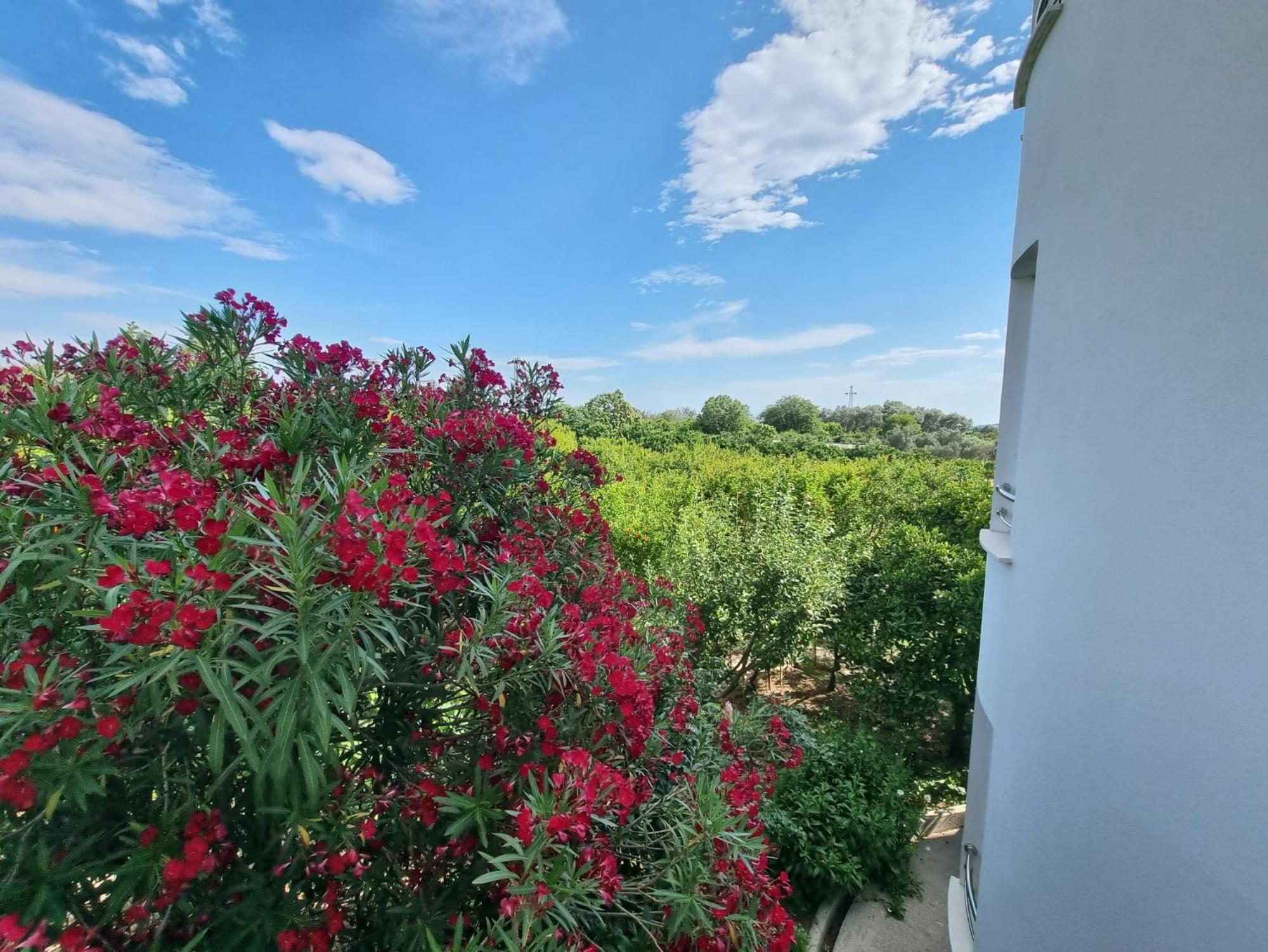 Le Domaine Green Paradise Ülgün Dış mekan fotoğraf