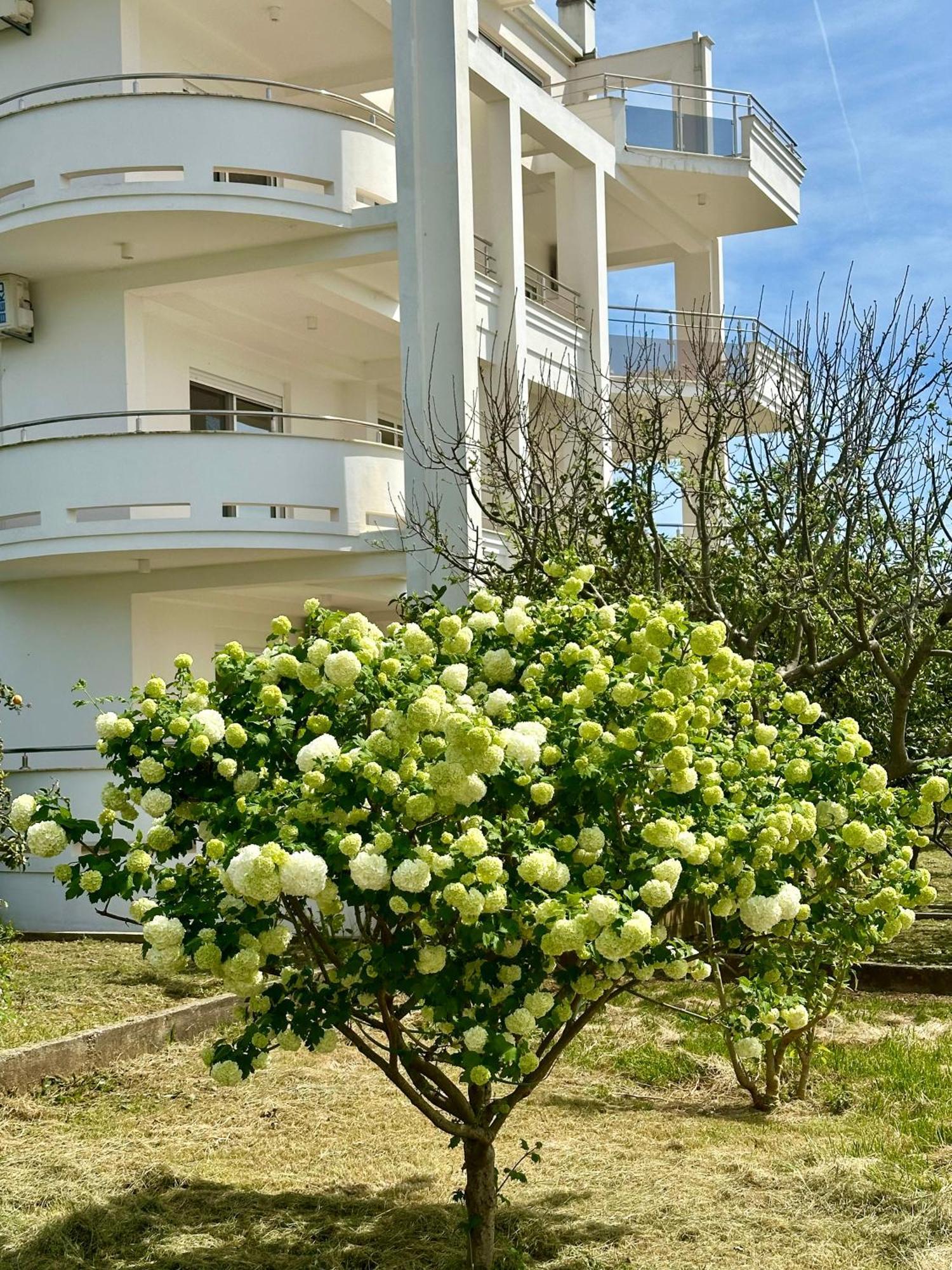 Le Domaine Green Paradise Ülgün Dış mekan fotoğraf