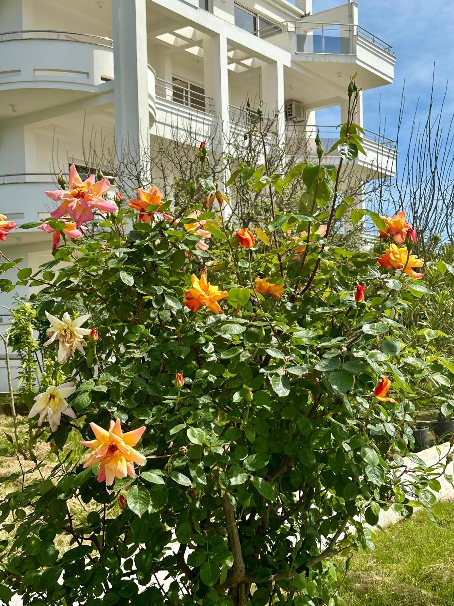 Le Domaine Green Paradise Ülgün Dış mekan fotoğraf